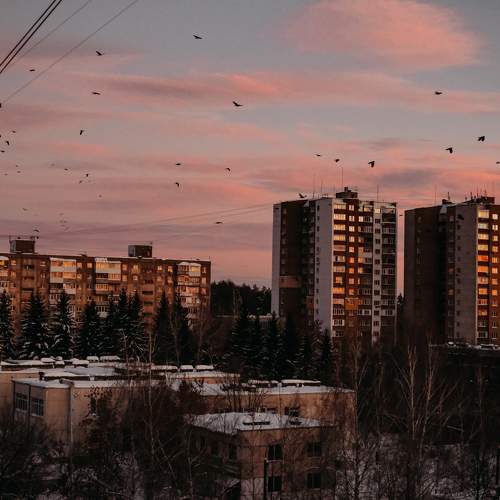 Photo #9909637