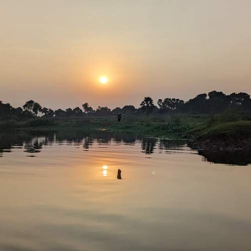 Photo #9910080