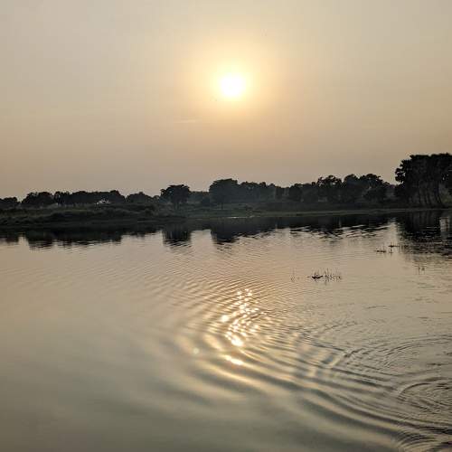 Photo #9910083