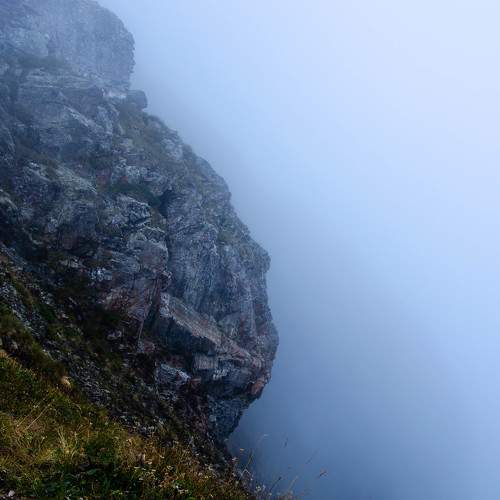 Photo #9910222