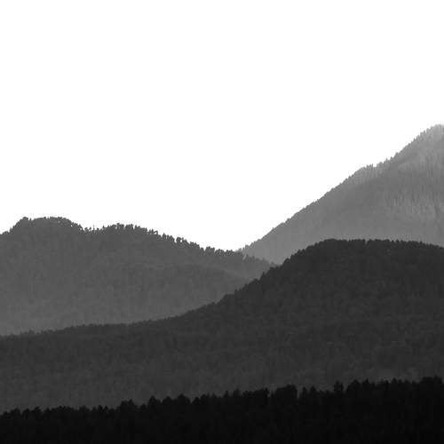 Photo #9910518
