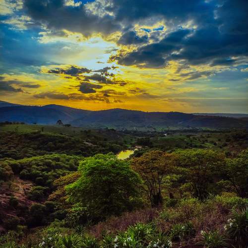 Nature Landscape