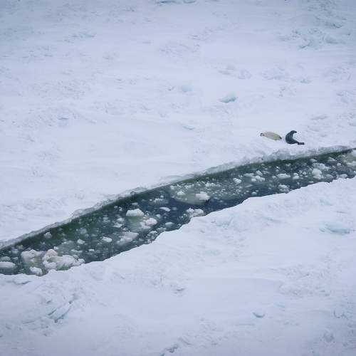 Photo #9911228