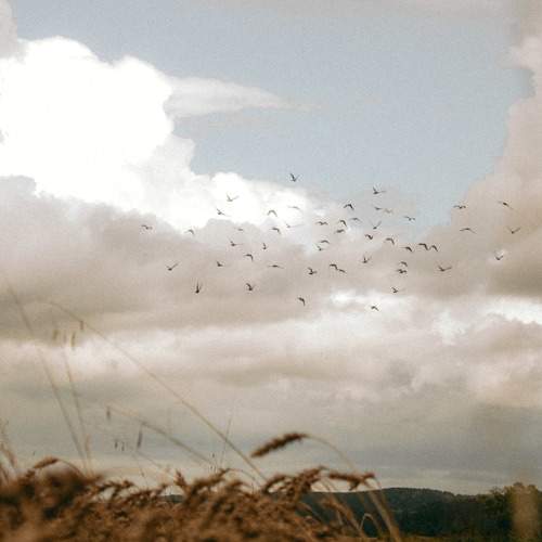 Photo #9911624