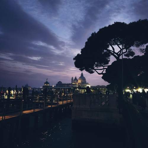 Photo #9911780
