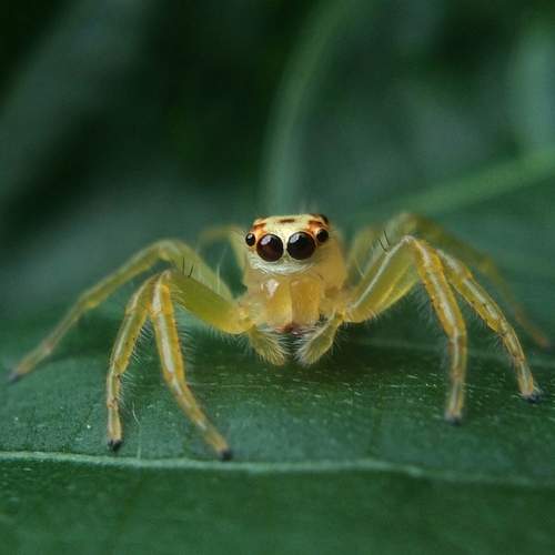 Photo #9912065