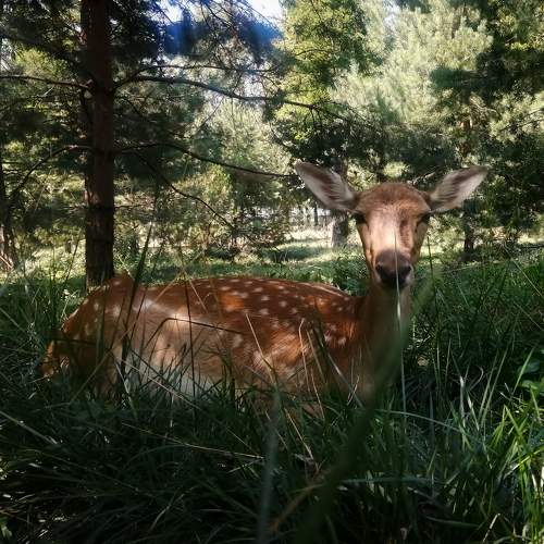 Photo #9912184