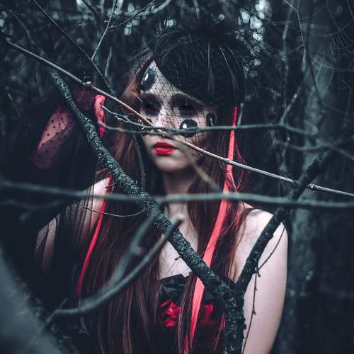 Photo #9912368