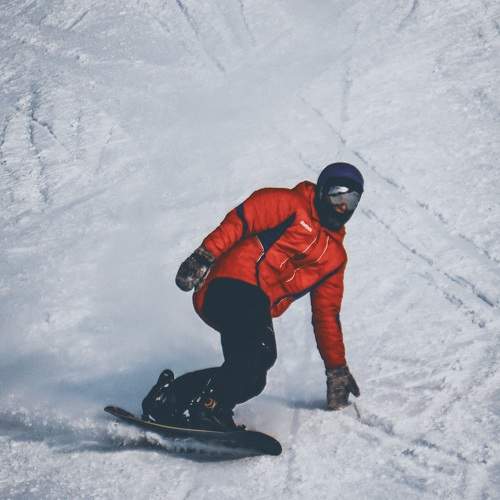 Photo #9912597