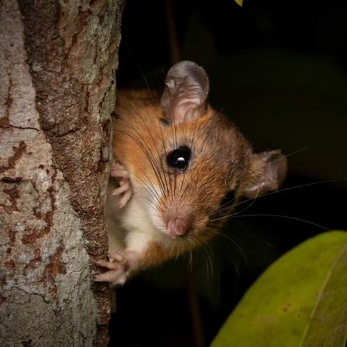 Photo #9912952