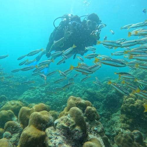 Photo #9913499