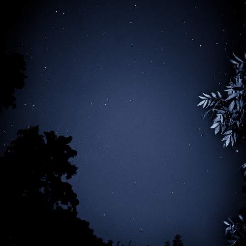 Photo #9914304