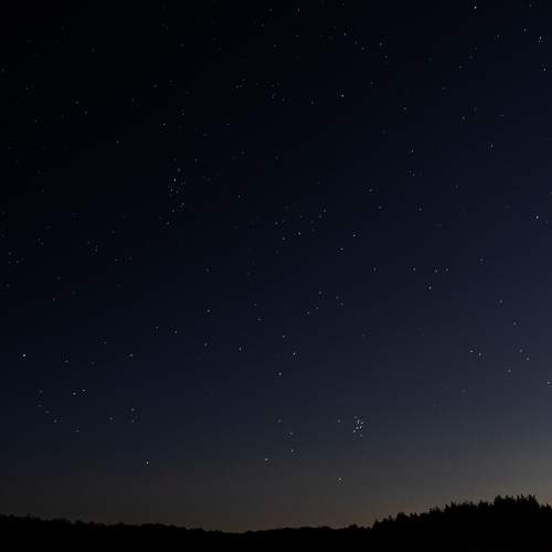 Photo #9914305