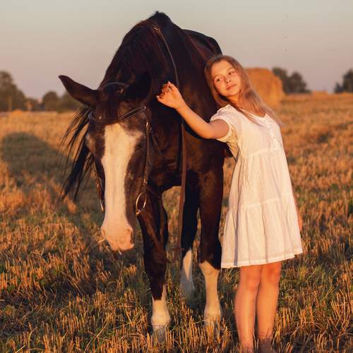 Photo #9914630