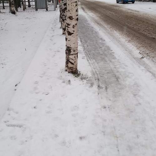 Photo #9915712