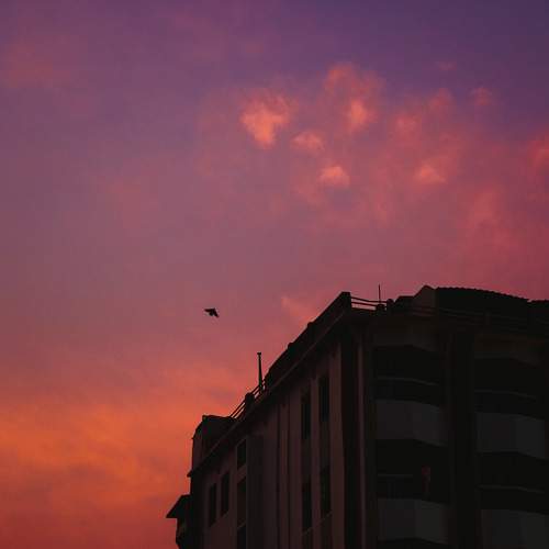 Photo #9916102