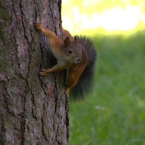 Photo #9916191