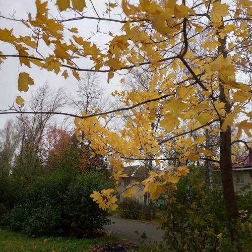 Photo #9916402