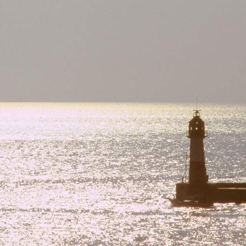 Photo #9917149