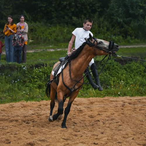 Photo #9917409