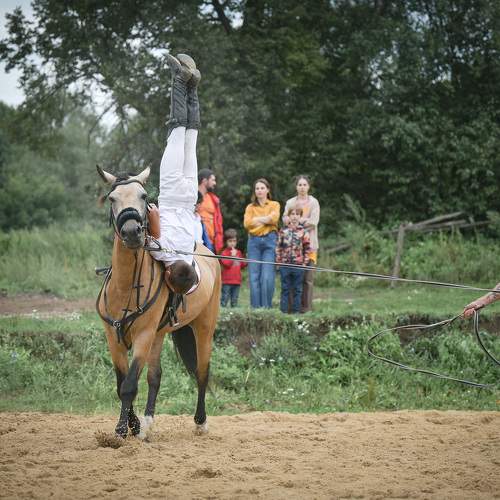 Photo #9917441