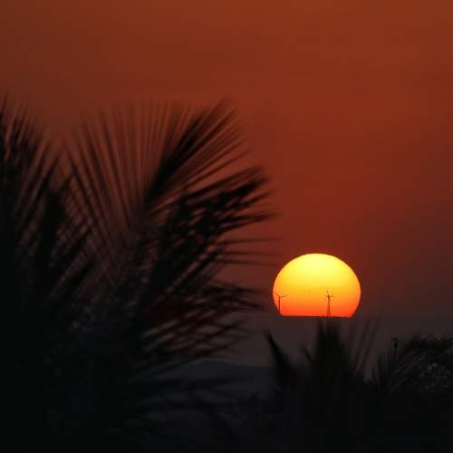 Photo #9917716