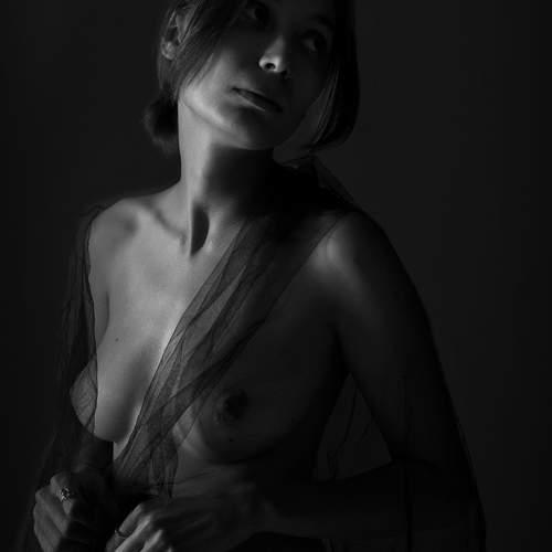 Photo #9918468