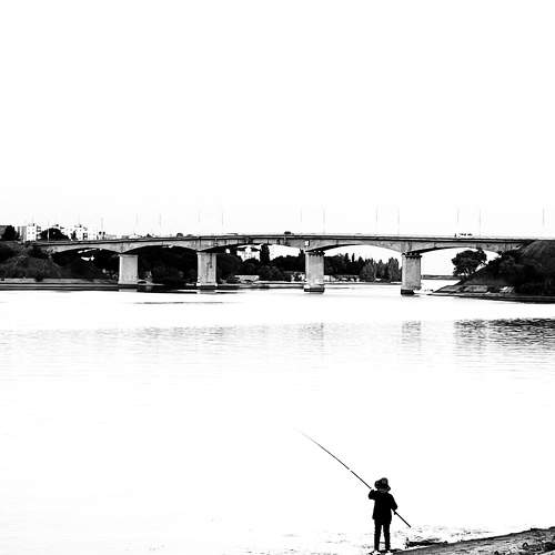 Photo #9918787