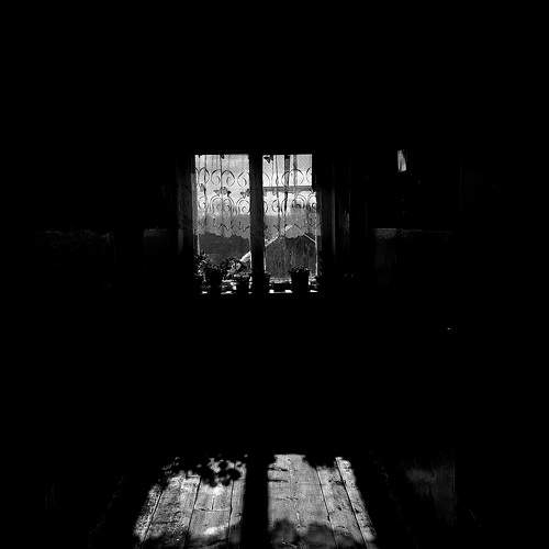 Photo #9918954