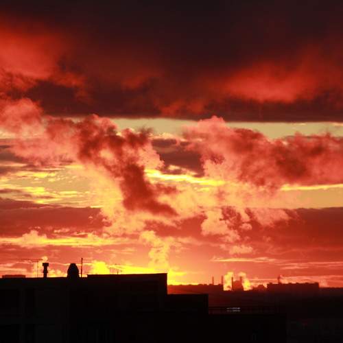 Photo #9919725