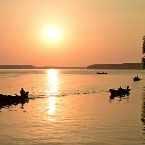 Photo #9919870