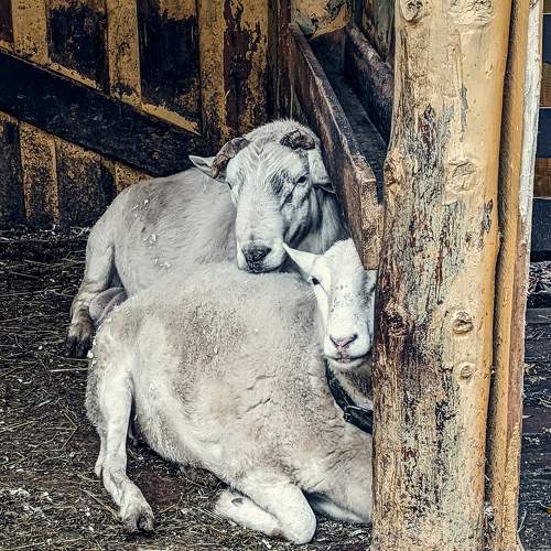Photo #9920306