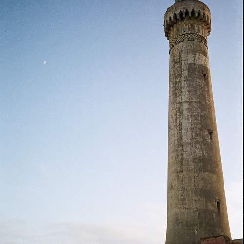 Photo #9920483
