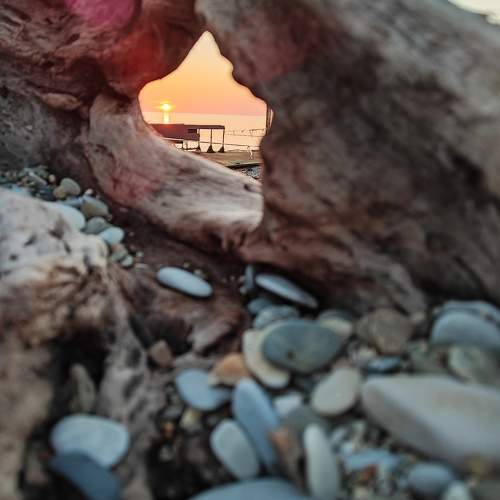 Photo #9920744