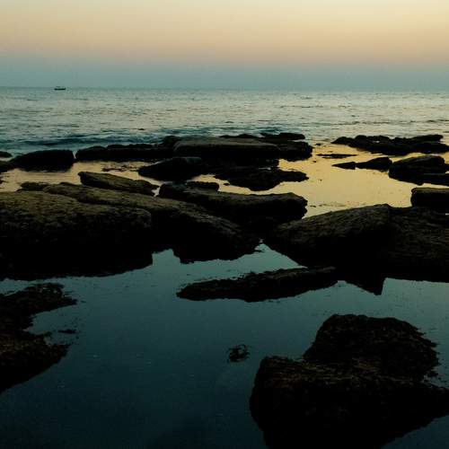 Photo #9921017