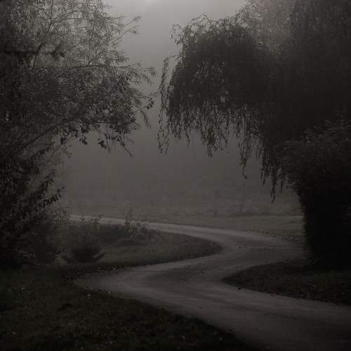 Photo #9921098