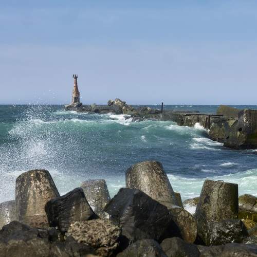 Photo #9921147