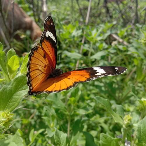 Photo #9921446