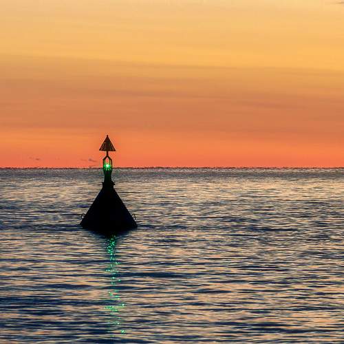 Photo #9921451