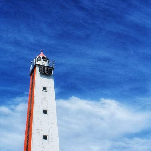 Photo #9921462