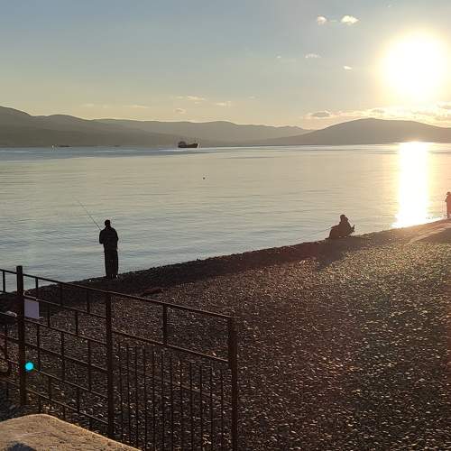 Photo #9921475