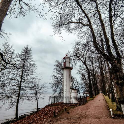 Photo #9921478