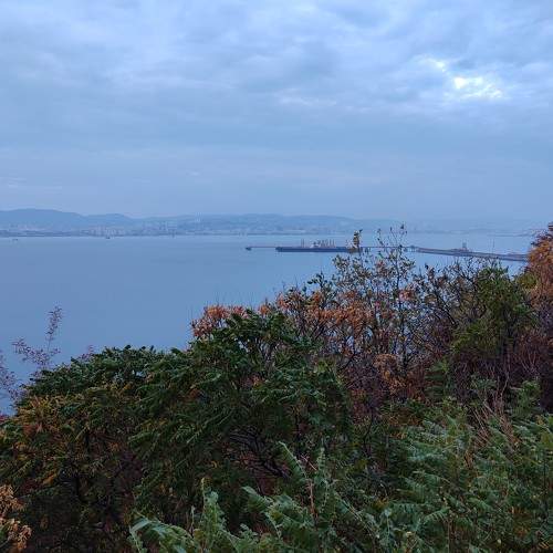 Photo #9921487