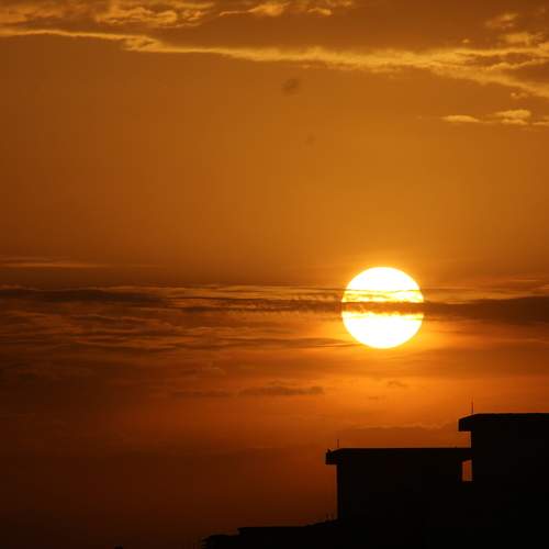 Photo #9921743