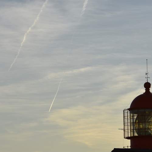 Photo #9921859
