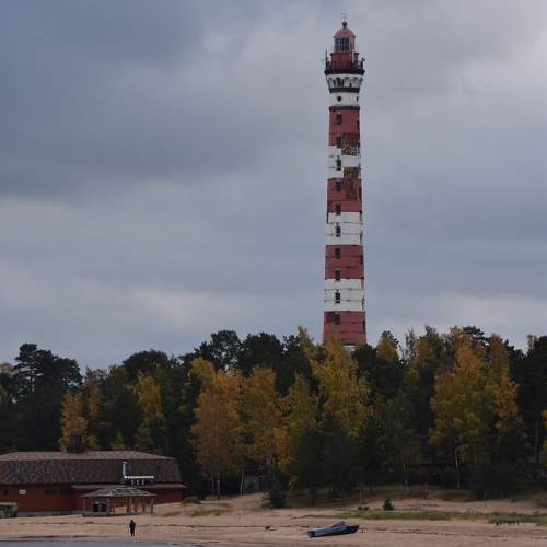 Photo #9921883