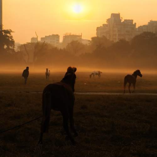 Photo #9922085