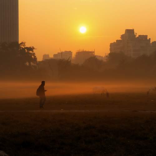 Photo #9922088