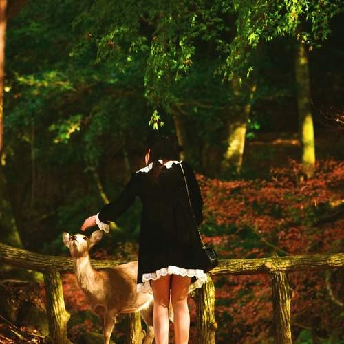 Photo #9922586