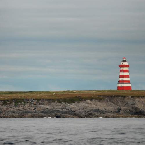 Photo #9923879